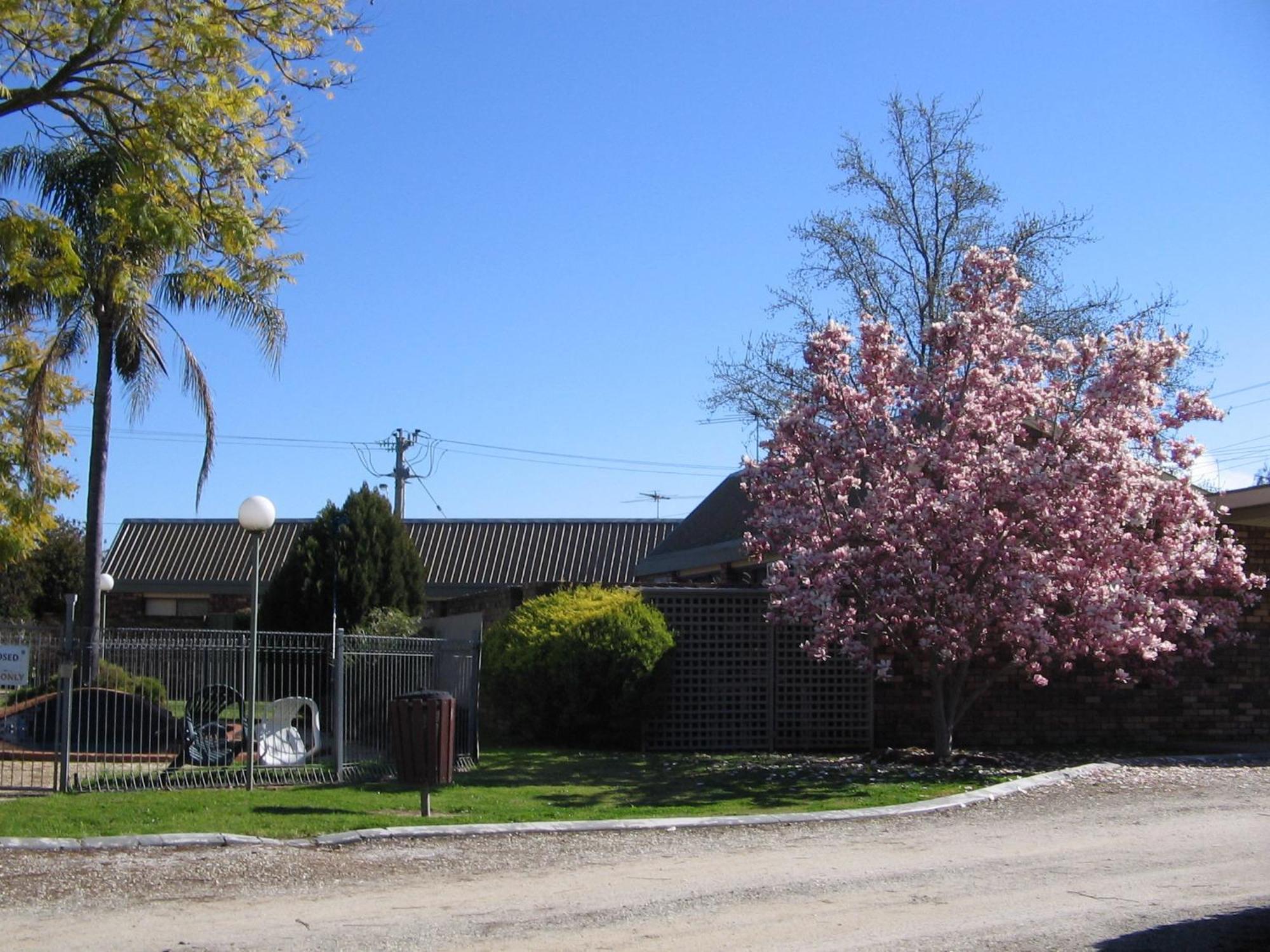 Belvoir Village Motel & Apartments Wodonga Esterno foto