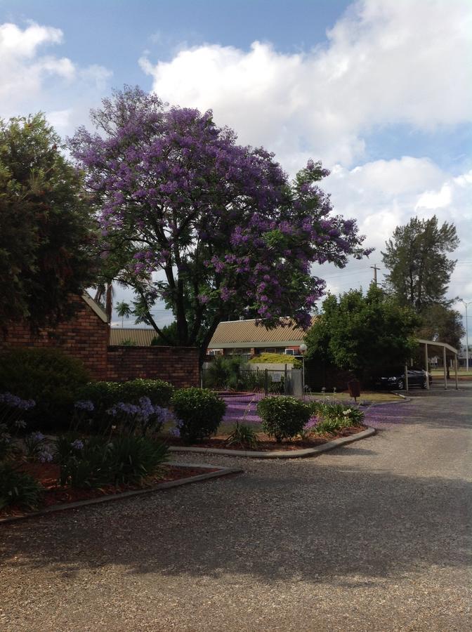 Belvoir Village Motel & Apartments Wodonga Esterno foto