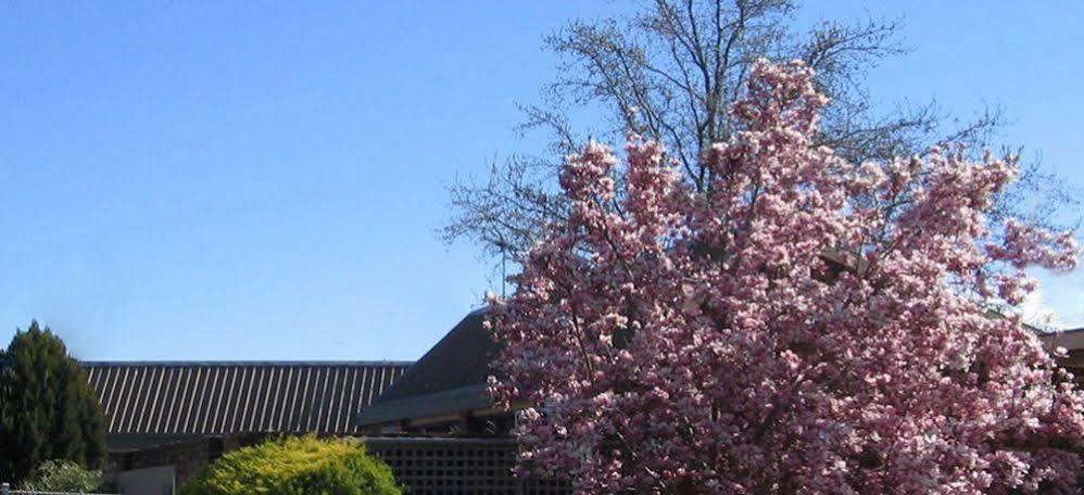 Belvoir Village Motel & Apartments Wodonga Esterno foto